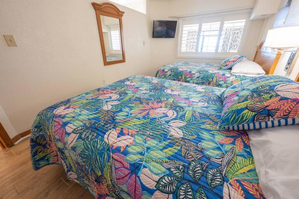 מירטל ביץ' New Remodeled Direct Oceanfront Views Beach Cove מראה חיצוני תמונה